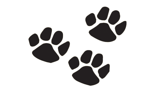 Maggie's foods for pets paw prints
